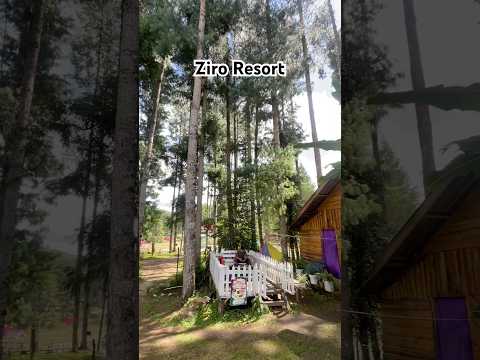 Ziro Resort #ziro #arunachalpradesh #love #nature