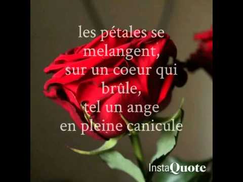 La rose rouge