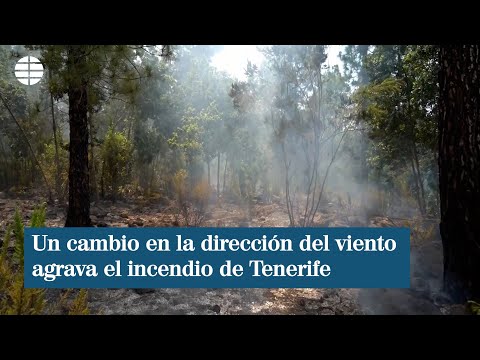 Un cambio en la dirección del viento agrava el incendio de Tenerife