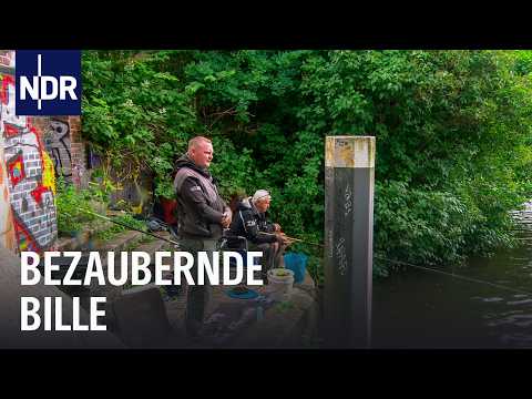 Brassen, Barsche, Bachforellen: Angeln an der Bille | Rute raus, der Spaß beginnt! | NDR Doku