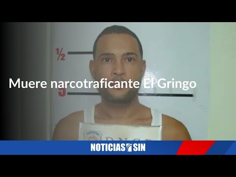 #EmisiónEstelarSIN: Narco, Larva y drogas