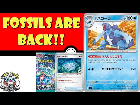 Pokemon TCG News