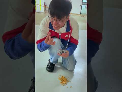 The FASTEST way to MAKE SUNFLOWER SEED! #shorts #mingweirocks