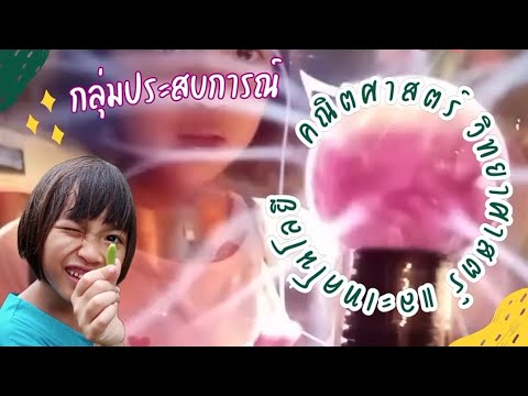 กลุ่มประสบการณ์:คณิตศาสตร์ว