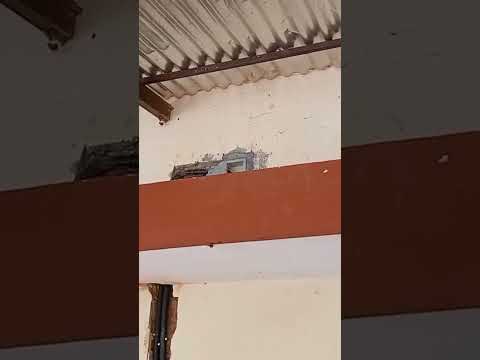 junction box use #electrical