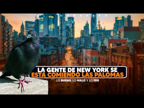 En New York se están comiendo las palomas -  (Bueno, Malo y Feo)