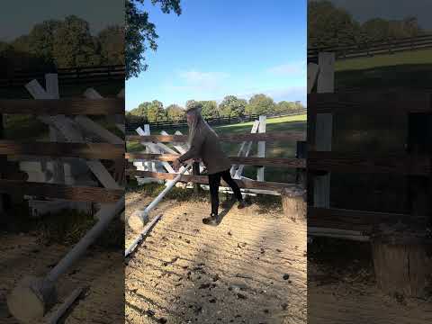 Help me prep for my #Saturday morning #lessons 🐴👧🏻#prep #backtoback #horse