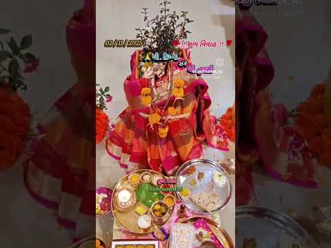 🙏જય શ્રી કૃષ્ણ 🙏 જય તુલસી માતા #surat #reels #viral #trending #tulasi