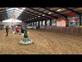 حصان الفروسية *NIEUWE VIDEO* Prachtige en eerlijke merrie