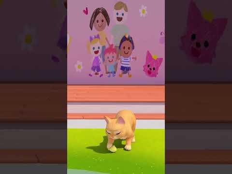 🐾우리 친구가 될 수 있을까..? #베베핀민지 #shorts
