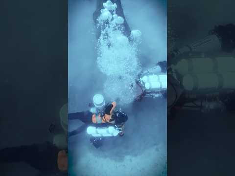 With Healthy Seas we’ve removed 320 tons of marine litter and expanded global education efforts.