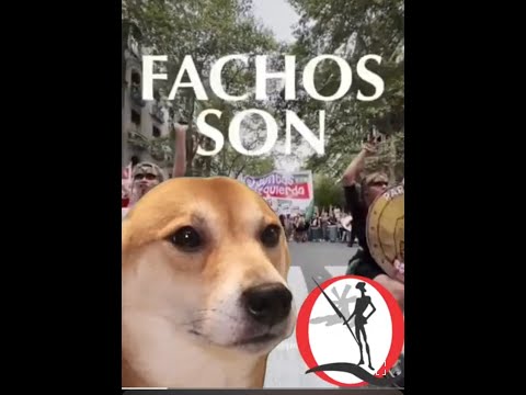 FACHOS SON , el nuevo hit feminista contra MILEI (by Las Vikingas)