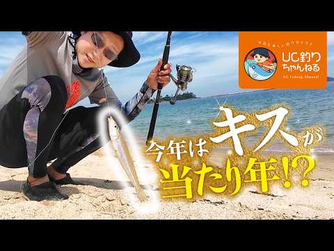 シロギスの数釣りが好調！夏のサーフで爆釣を楽しもう！