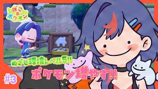 【ぽこあポケモン】環境レベル5めざしてポケモン増やすぞぉおお🔥🔥【まんじちゃん。】