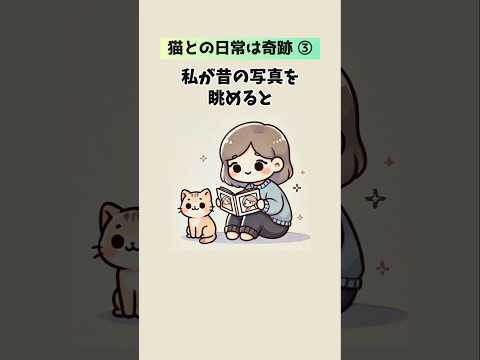 猫の動画サムネイル - 猫と過ごせる時間は奇跡③ #猫 #雑学 #豆知識 音声「VOICEVOX：ずんだもん」 さん
