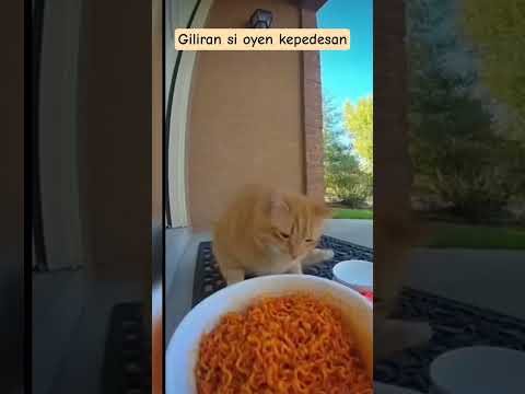 Giliran si oyen kepedesan