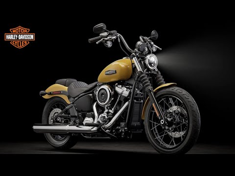 2025 Harley-Davidson Street Bob 114: Raw Power, Timeless Style