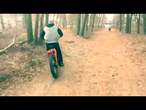 Fat Cat XL quick test from Big Cat Electric Bikes