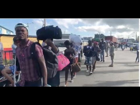 La ONU pide que haitianos en riesgo sean protegidos con estatuto de refugiados