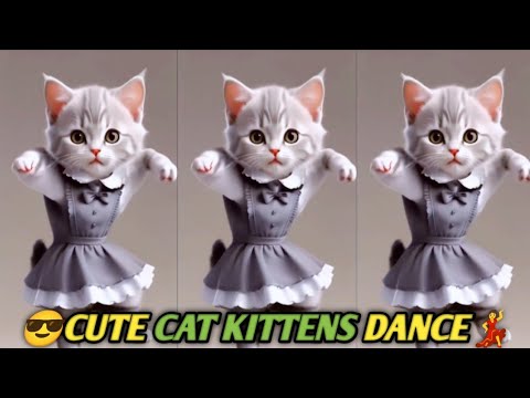 😎Cute Cat Video dance💃|😎क्यूट कैट वीडियो डांस💃|#cat #cuteanimal #funny #cute #catvideos #comedy #cat
