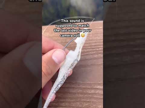 ANYTHING but the hook.😭✌️ How’s this even possible?#jesus #fishing #florida #bassfishing #crazy