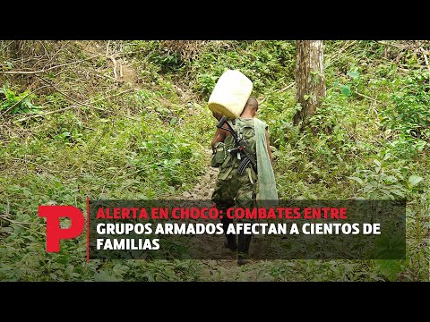 Alerta en Chocó: Combates entre grupos armados afectan a cientos de familias |05.11.23| TP Noticias