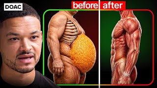 Thumbnail for the video "The SIMPLE Way To Make Your Body STRIP Belly Fat" from The Diary Of A CEO Clips