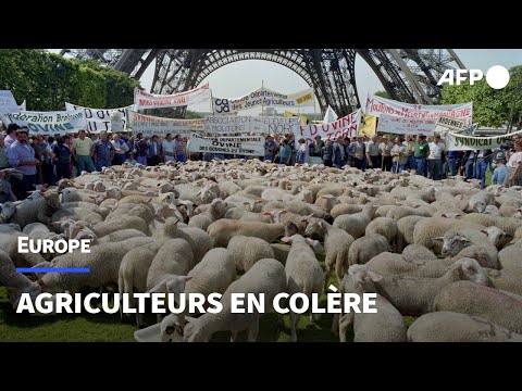 Pourquoi les agriculteurs européens manifestent ?