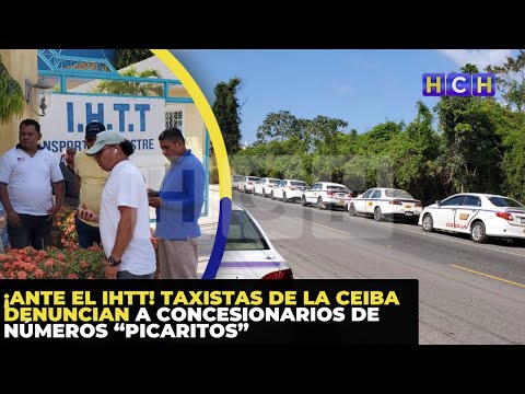 ¡Ante el IHTT! Taxistas de La Ceiba denuncian a concesionarios de números “picaritos”