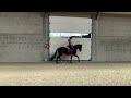 Cheval de dressage Price Reduced!!! Talented 3 years old mare