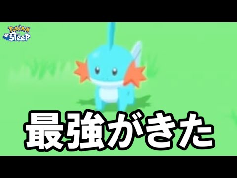 ミズゴロウまじでどれにしよう。【ポケモンスリープ】