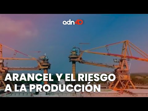 Arancel y el riesgo a la producción producen problemas en la economía del consumidor