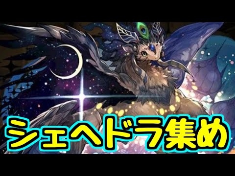 【生放送】シェヘドラ集め！！裏異形周回！！【パズドラ】