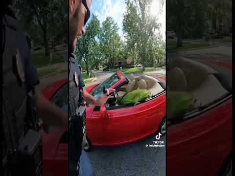 The pirate says I have my right free as a bird