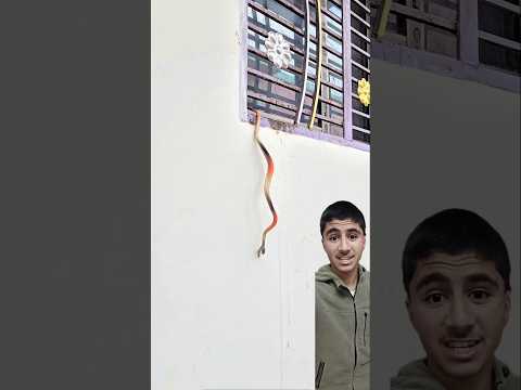 “Building Wooden Log Cabin in Forest 🌲🐍| Survival House Step by Step” part-446