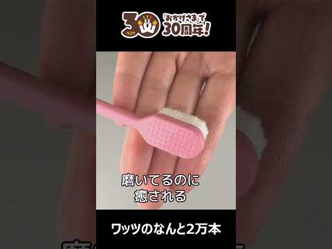 【約2万本の高密度毛🪥】やさしく磨ける!マイクロ極細歯ブラシ✨ #shorts #100円ショップ #100均 #ワッツ