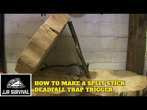 How to make a split stick deadfall trap trigger