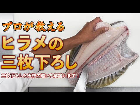 ［初級〜中級向け］プロが教えるヒラメ三枚下ろし｜五枚より難しい理由　#ヒラメ #平目 #ヒラメ三枚下ろし #三枚下ろし #魚の捌き方#魚捌き #板前 #和食職人 #五枚下ろし#料理動画 #プロの技