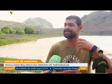Tamar divulga balanço da desova de tartarugas em Fernando de Noronha