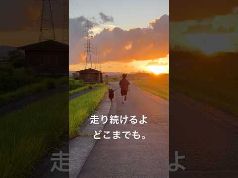 ドニさんぽがあるかぎり、走り続けるよどこまでも。