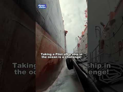 Taking pilot away from the ship
