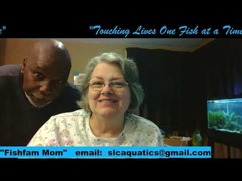 Tuesday with Susan for SLC AQUATICS Some Fish room chat questions and answers and catching up with other community peeps. 
Happy New Yea