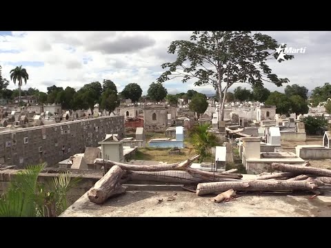Info Martí | Descomposición de cadáveres, en tumbas abiertas, en el cementerio de Guantánamo