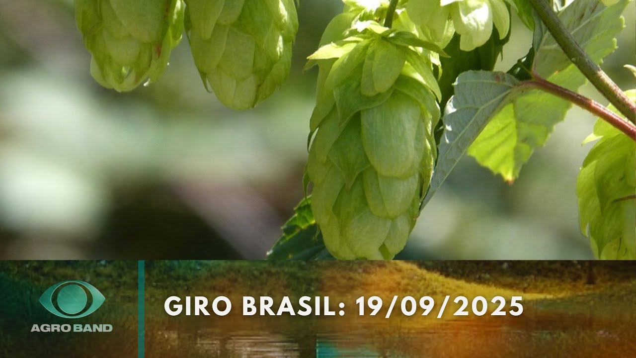 Giro Brasil produção de lúpulo produção de soja e mais