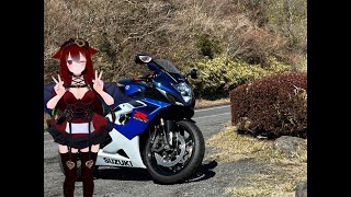 VRChat テスト配信