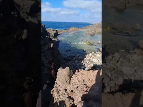 La vida es Bella✨ #animalshorts #perros #viralvideo #memesviral #vida #disfrutarlavida #agua