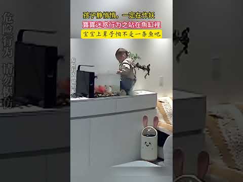 cute baby, try not laugh❤️ 寶寶靜悄悄一定在作妖，寶寶竟然爬上桌子站到了魚缸裡，怕不是上輩子是一條魚吧😂❤️ #baby  #funnybaby