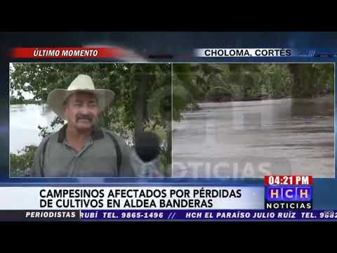 Lluvias provocan inundaciones en cultivos en aldea Banderas de Choloma, Cortés