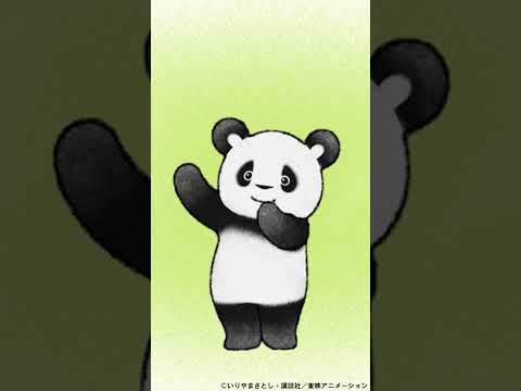 🐼ふわもち♡パンダさんの　ゆるかわ たいそう♪🐼　きゅー☆きゅー☆しよう♪きゅうり🥒きゅうり🥒きゅうり🥒♬　#shorts    #手遊びうた #panda #ダンス #保育士 #踊ってみた