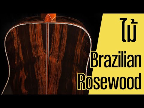 ไม้Brazilianrosewood